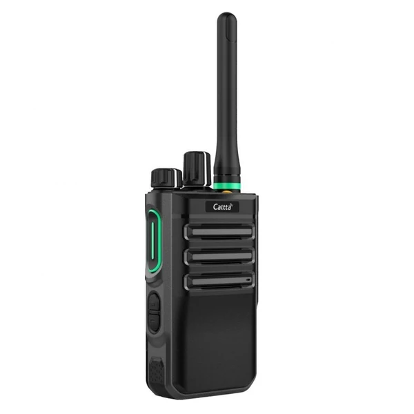 Caltta PH600 Portable DMR